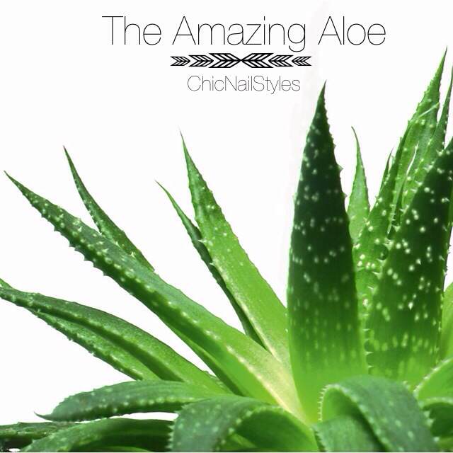 Amazing Aloe The Best Aloe Vera Gel Chic Nail Styles